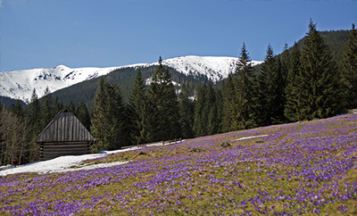Atrakcje turystyczne w Polsce - Zakopane i okolice
